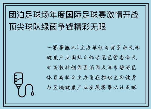 团泊足球场年度国际足球赛激情开战顶尖球队绿茵争锋精彩无限